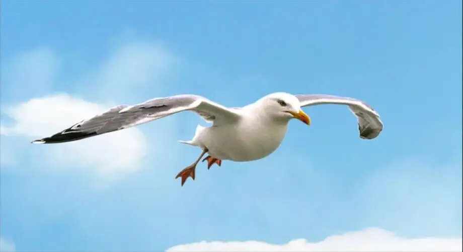 QQ20190425221011