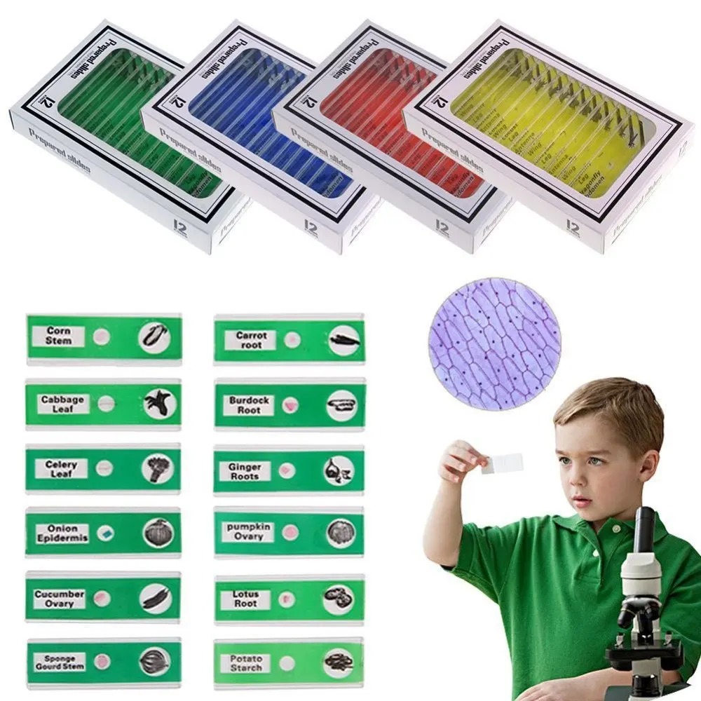 

12pcs Plastic Prepared Microscope Slides of Animals Insects Plants Flowers Sample Specimens for Biological Microscope