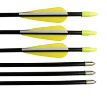 12 шт./лот стрелы из стекловолокна для стрельбы из лука с фиксацией для стрельбы из лука для упражнений в охоте