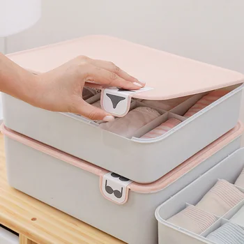 

Girls Women Underwear Storage Box with Lid Home Wardrobe Drawer Closet Organizer Case for Socks Panties Bra