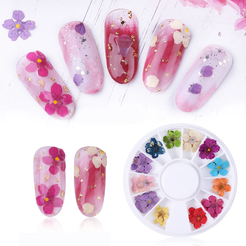 

Colorful Slider Sticker Polish Manicure Nail Art Decorations New High Quality Mixed Natural Nail Dried Flower DIY 3D Pressed