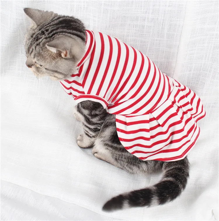 cat clothes (1)