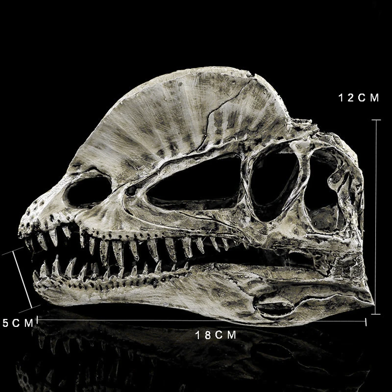 Dinosaur Skull Replica Skeleton Model Aquarium Ornament Antique Yellow for decor teaching & Collectible High Quality