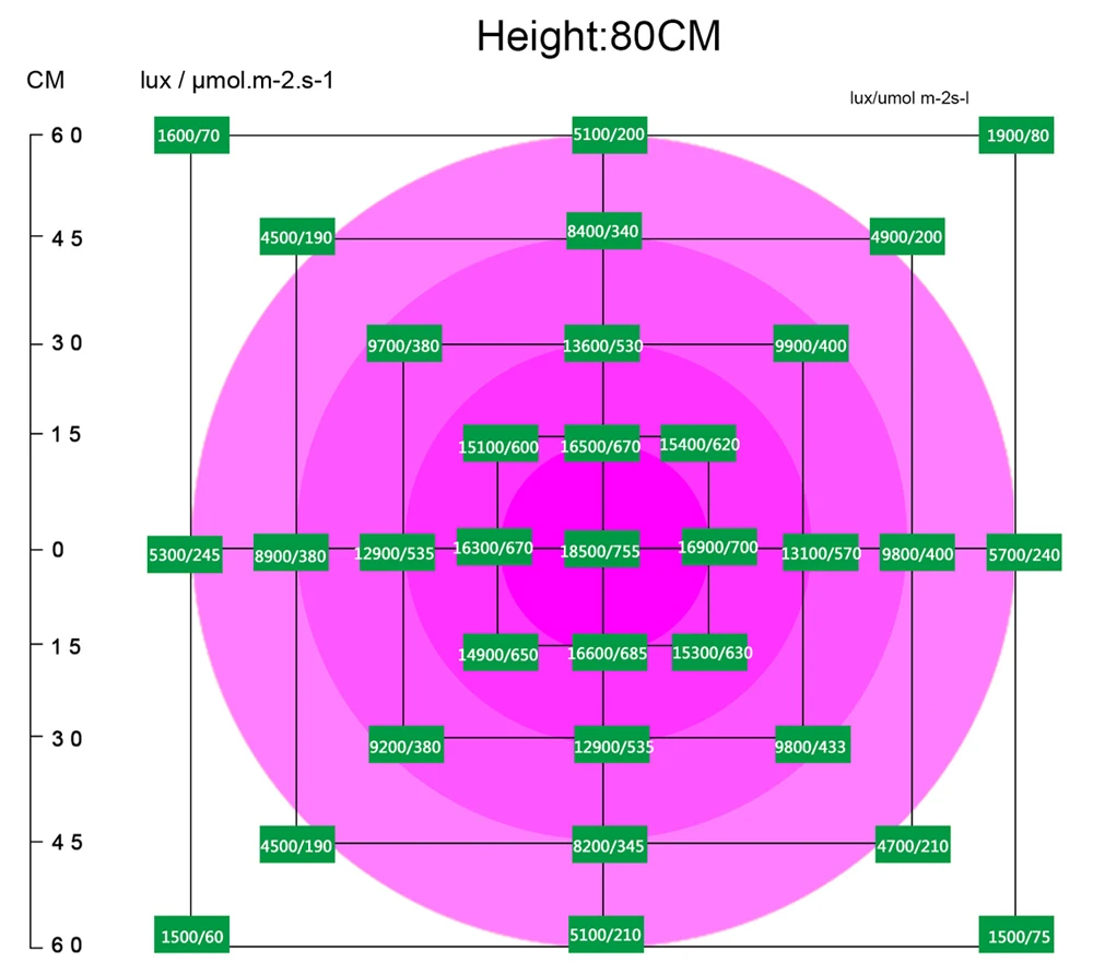 80cm
