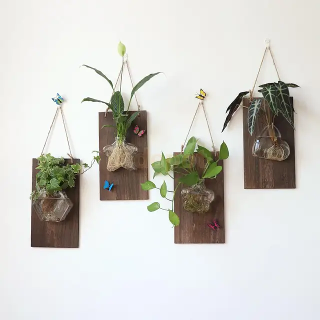 Vintage pared colgante de vidrio transparente hidropónico florero