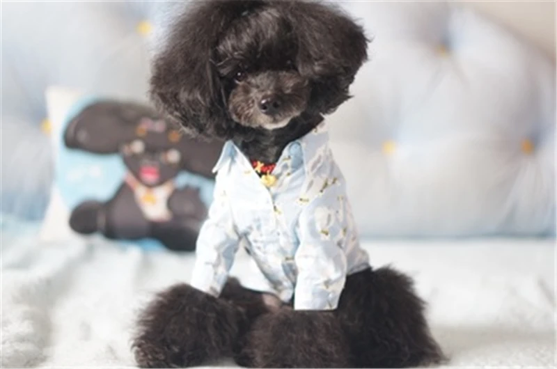 dog summer spring autumn clothes (6)