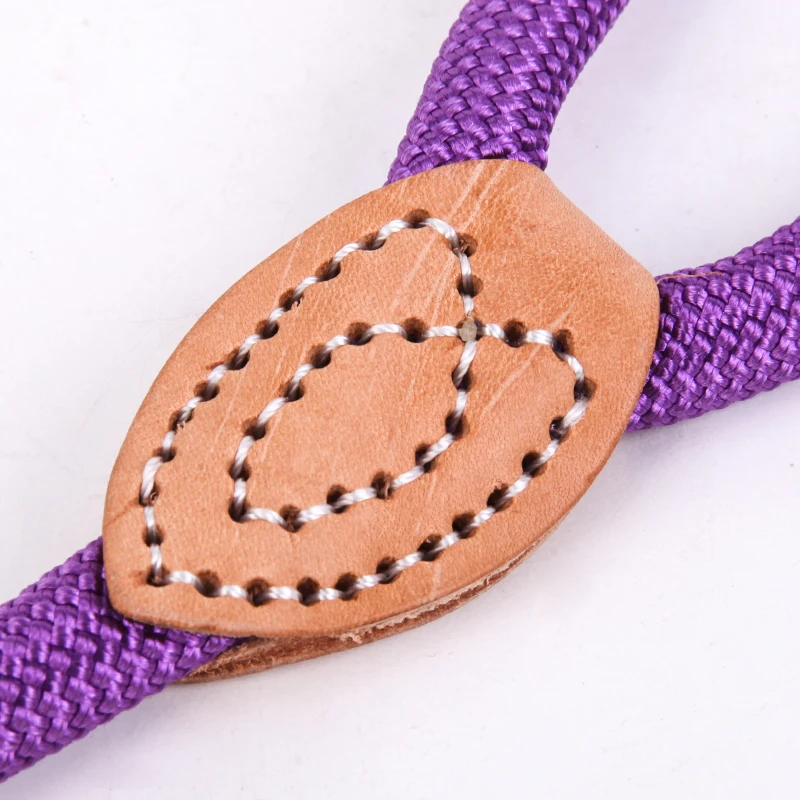dog leash 4