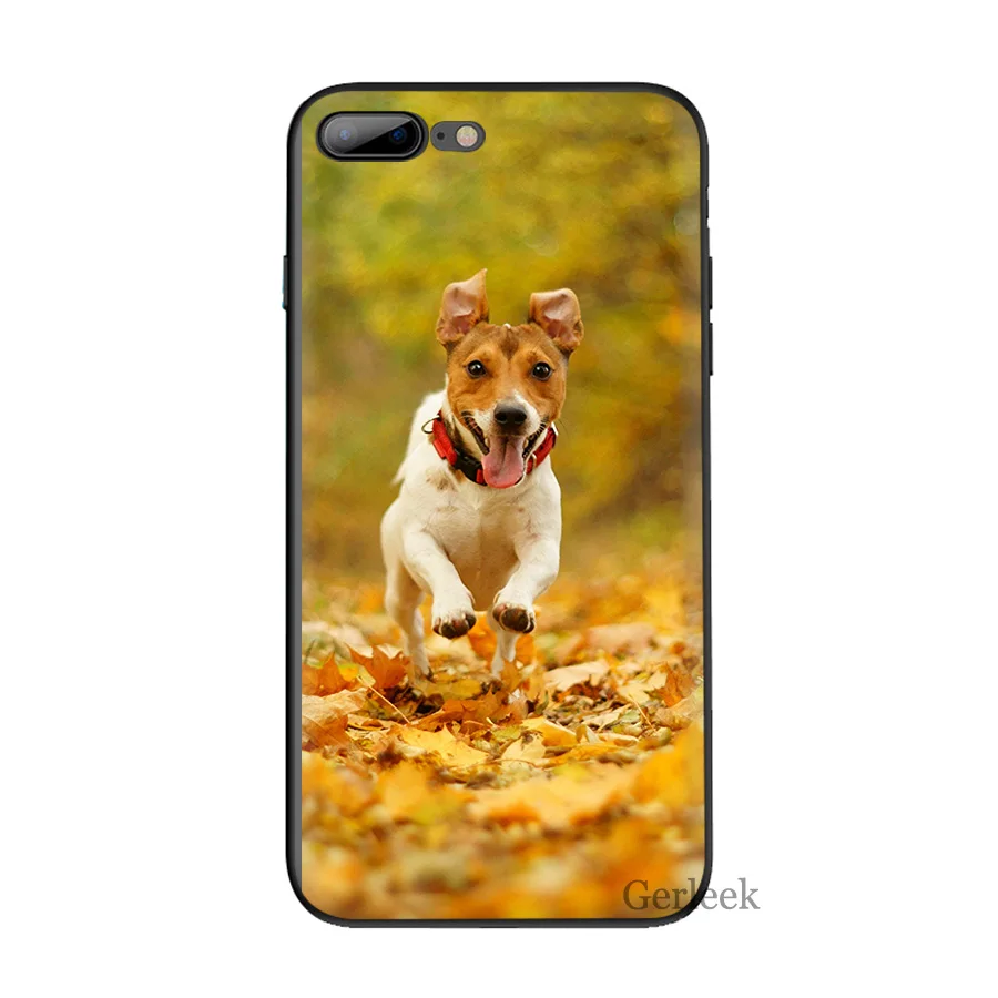 Чехол для телефона с изображением собаки Джека Расселла терьера iPhone11 Pro Max 6 6S 5 5S SE