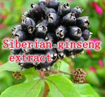 

1 pack 100% natural Siberian ginseng extract (0.8%Eleutherosides B+E) 500mg x 300caps free shipping
