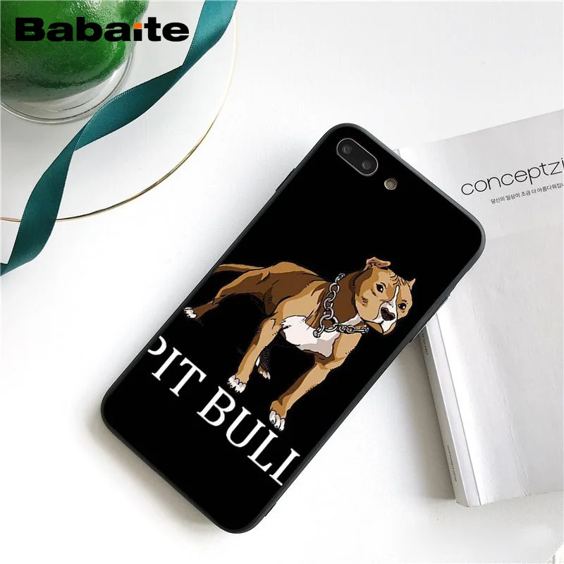 Pit Bull Lovely Pet Dog Pitbull