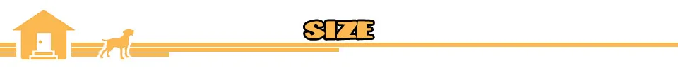 Size