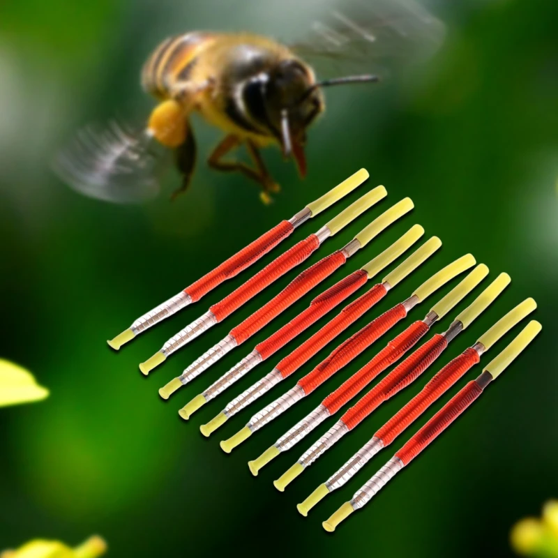 

10 Pcs Beekeeping Bee Grafting Tools F Hive Queen Rearing Toggle Bee Needle Wm Move