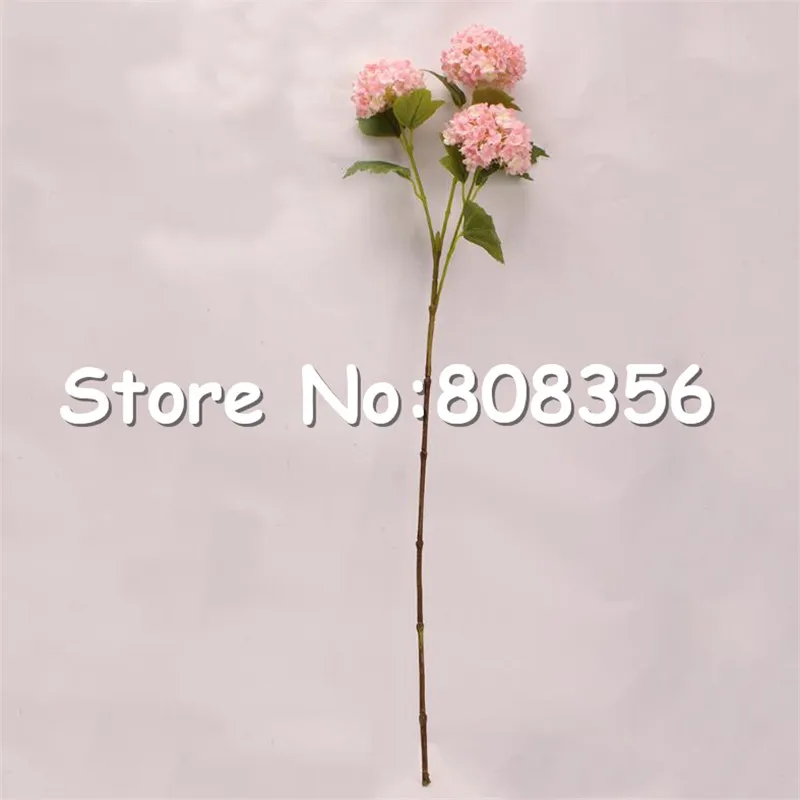 2563