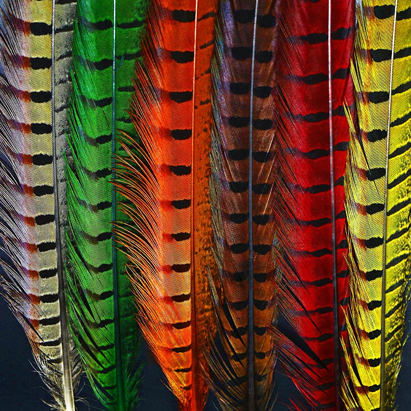 15pcs-set-6-optional-colors-15-premium-pheasant-tails-black-stripe-ringneck-tail-classic-pheasant-tail (1)