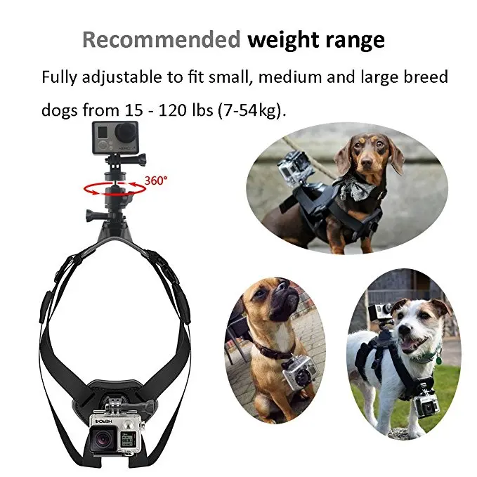 M1 Myanmar Dog Harness Camera Mount