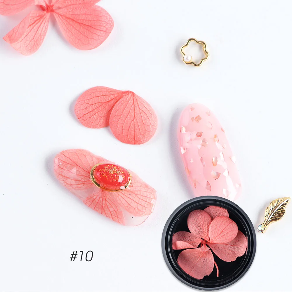 dried flowers C10