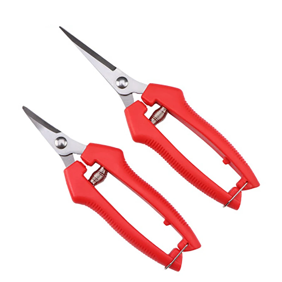 

VOTO Professional Straight Stainless Steel Picking Fruit Picking Scissors Thin Fruit Branch Shears Gardening Floral Small J006