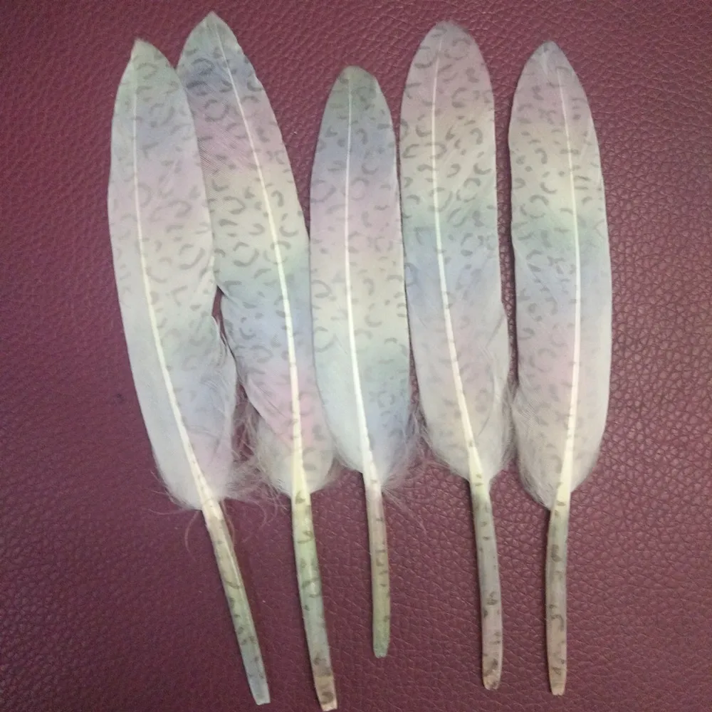 20pcs/Lot, Brand new, Dyeing Goose Feathers,Multicolor Feathers