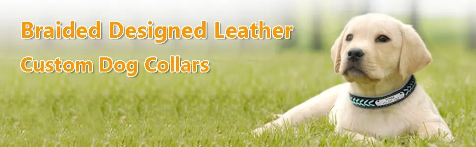 cool dog collars Personalized Dog Collar Leather Padded Dogs Braided Collars Free Engraving Pet ID Tag Nameplate for Small Medium Large Dogs leather dog collars