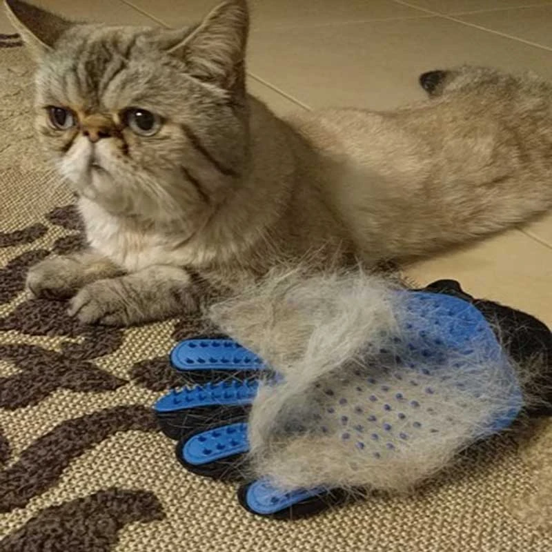 cat mitten brush