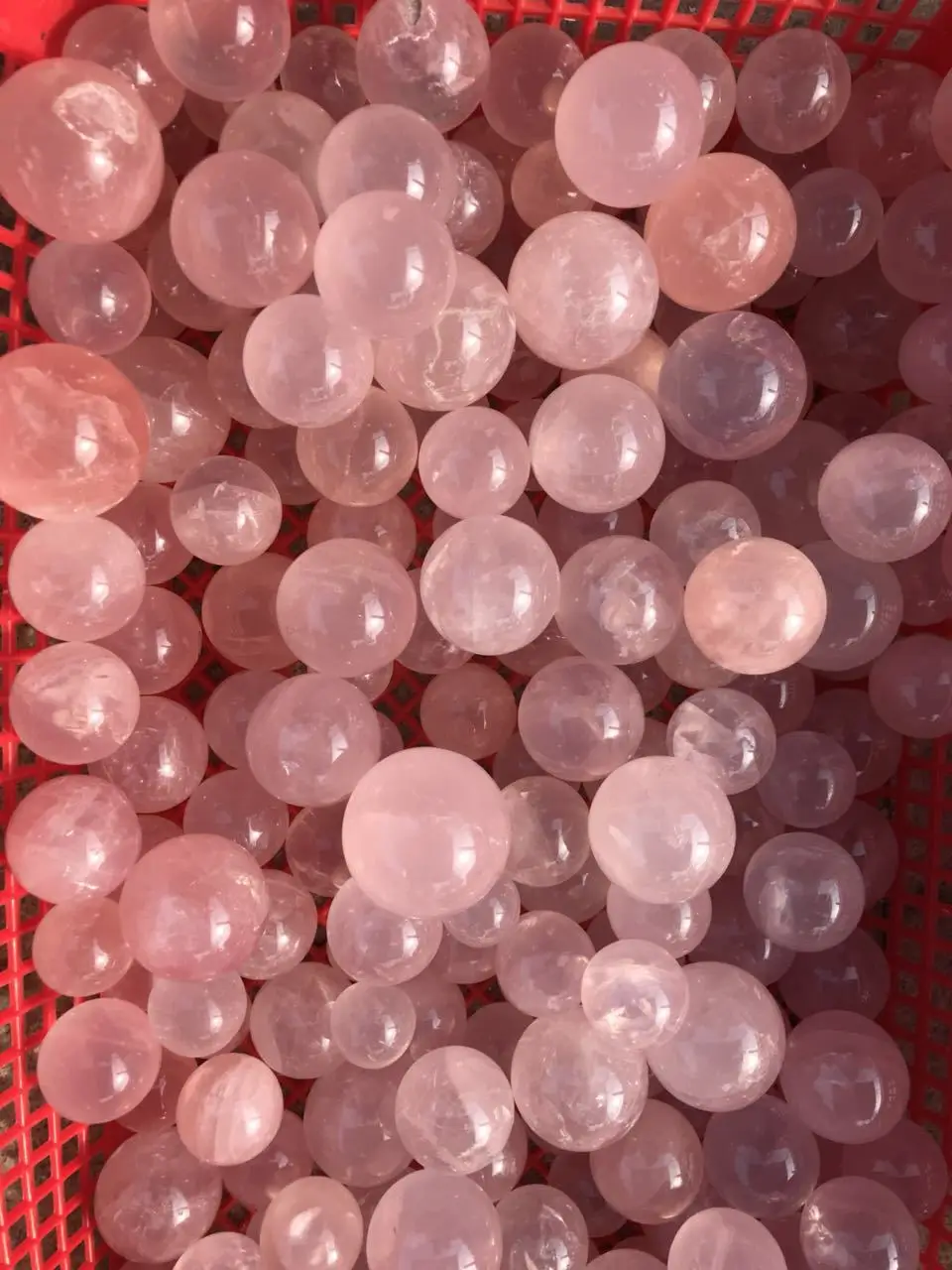 9557548525_1973749323