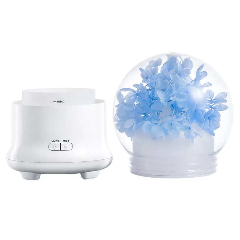 air humidifier (5)