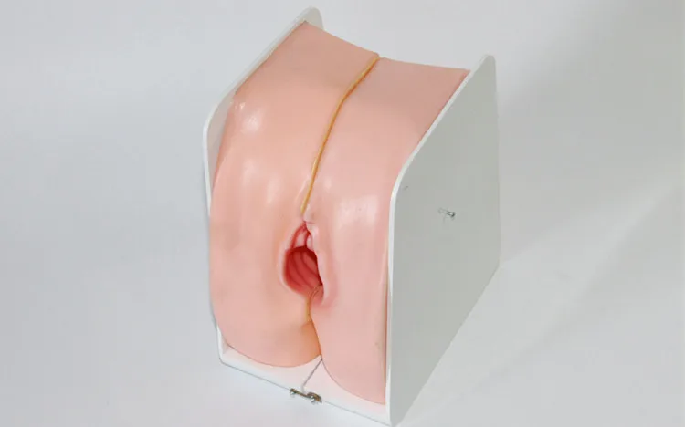 Femme contraception orientation modèle de la reproduction femme ... Femme contraception orientation modèle de la reproduction femme ...
