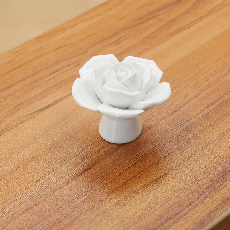 9155721569_403940942