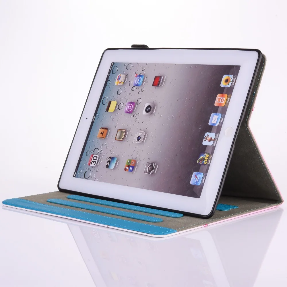 IPAD2 3 4 (13)