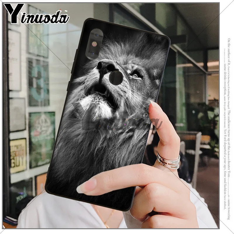 Animals The lion
