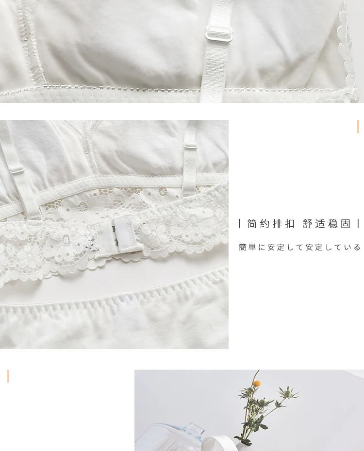 jsfs8 (15)