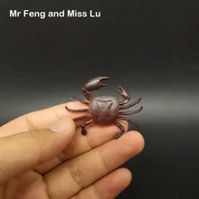 Маленький краб животное модель обучения обучающий держатель игрушек ребенок