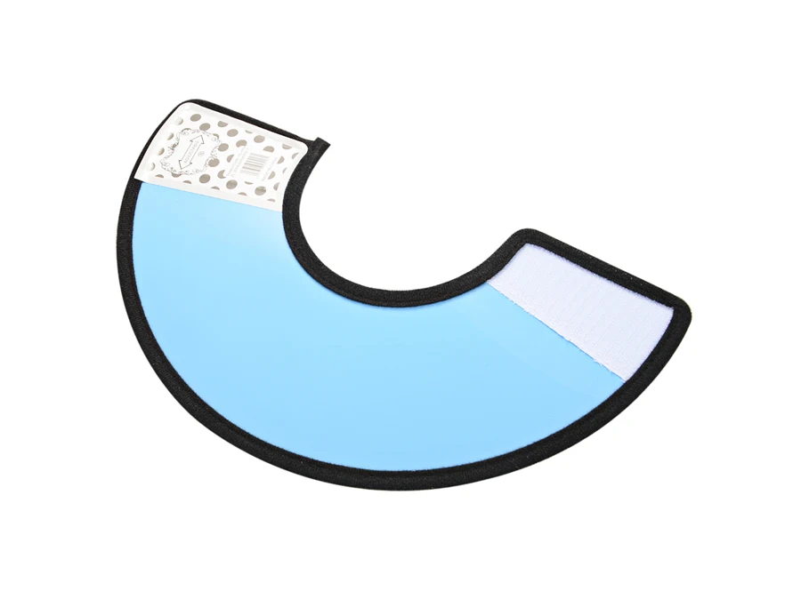 DSC_6235-2