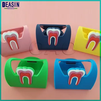 

10pcs Colorful Dental Cute Card Holder Rubber Molar Shaped Name Case Display Stand