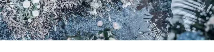 O1CN01Kp7Tqx1F8vy5E1jJa___1654900443