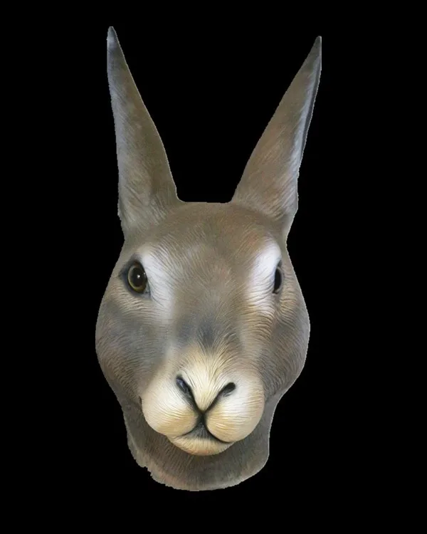 Rabbit HY-AM010-3.