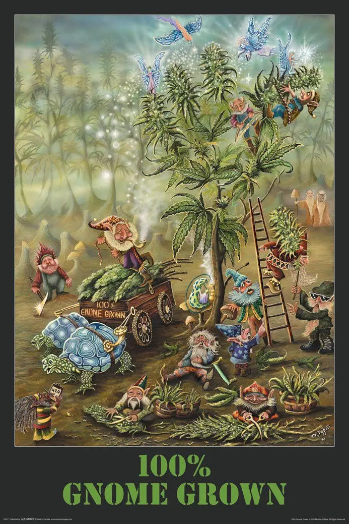 

Forest Gnomes Wall Sticker Home Decor Silk Art Poster