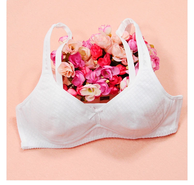 Free shipping Fashion Sister teenage underwear cotton