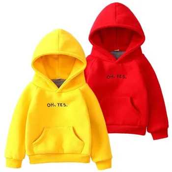 

2019 Boys Girls Hoodies Clothes Children Winter Thick Sweatshirts Toddler Casual Sweater Kids Plus velvet Tops Costume BJK03