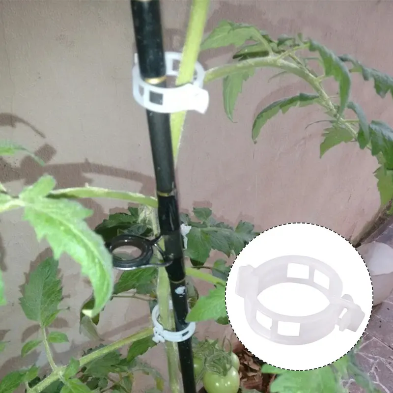 

1pcs Plant Vines Fixed Clip Tied Buckle Lashing Hook Agricultural Greenhouse Vegetable Gadget Garden Plastic Planter Trelli