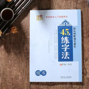 

45 Days' Practice of Calligraphy Copybook in Regular Script learn Chinese for adults kids children art drawing antistress libros