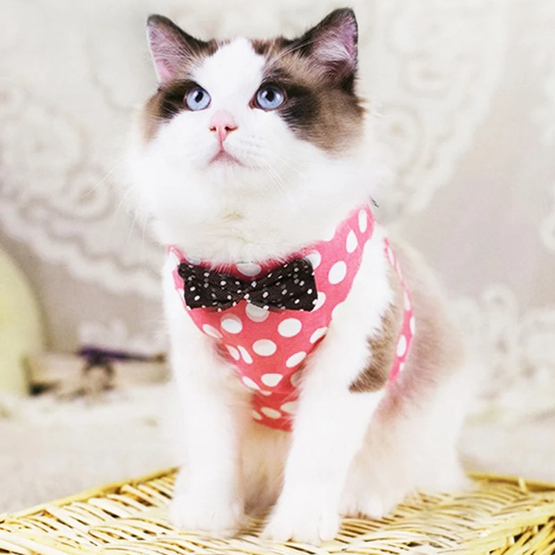 

Cat Collar Harnesses Cats Products for Pet Traction for Small Medium Dog Cat Vest Harness Leash Pet Dog Chest Strap Leash