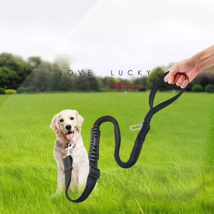 Dog Leash Elastic Band Walking Training Jogging Dog Sport Adjustable