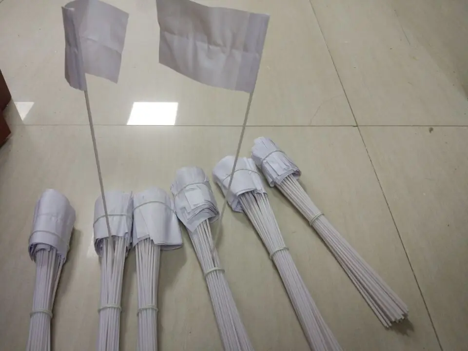 flag 2