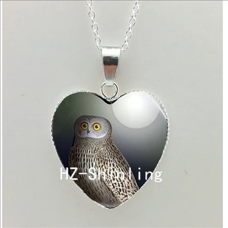 Черный Кот и луна сердце ожерелье животное с Луной кулон в форме сердца, украшения для женщин в форме сердца ожерелье HZ3 - Окраска металла: 16