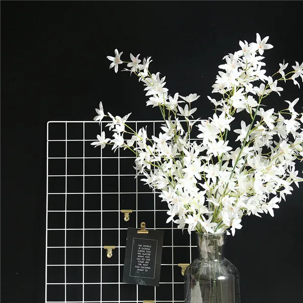 HHA90625968_0332183512042002869