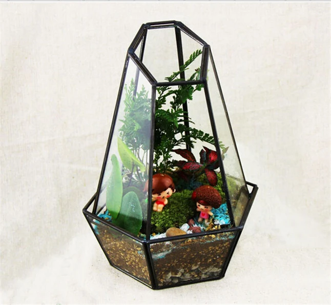 Buy Quartz Shape Geometric Terrarium Glass Planter