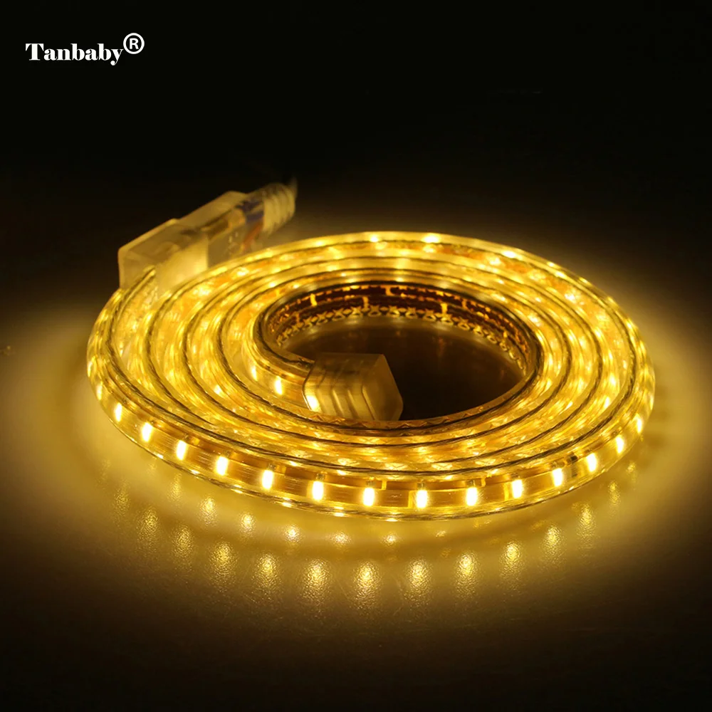 

Tanbaby 3014 SMD Led Strip light Flexible IP67 Waterproof AC220V with EU Power Adapter 120 Led/M brightness outdoor indoor home