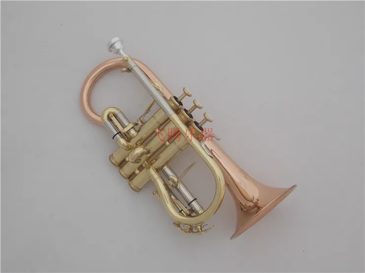 Brass band instruments trigger trumpet body send Yaubrass band