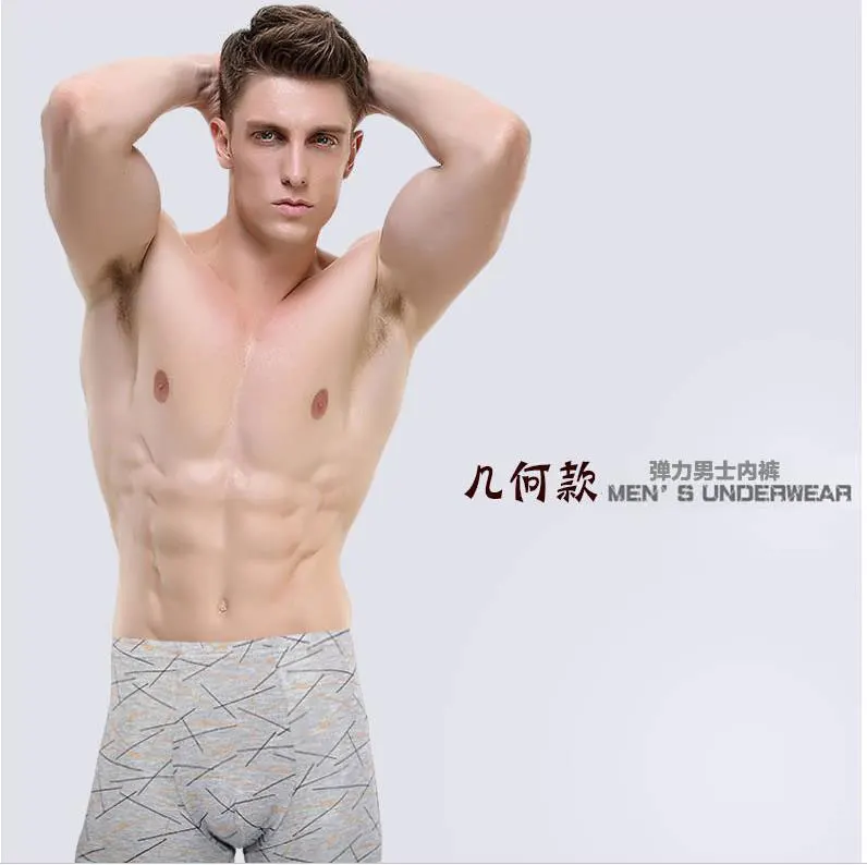 36020190210205040173